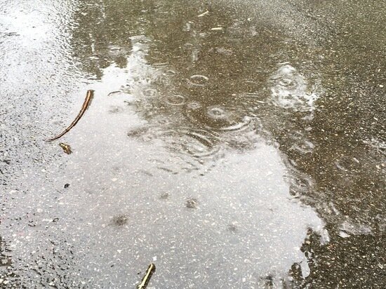     Весна в Саратове. Фото: saratov.mk.ru "МК в Саратове"