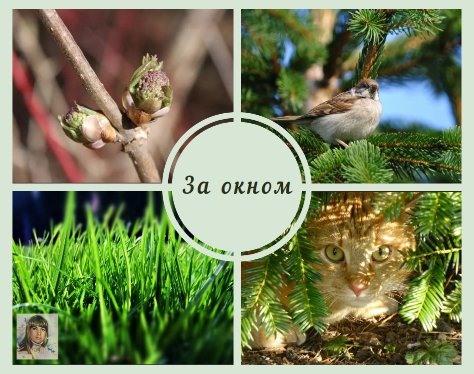 Весенняя зарисовка "За окном"
