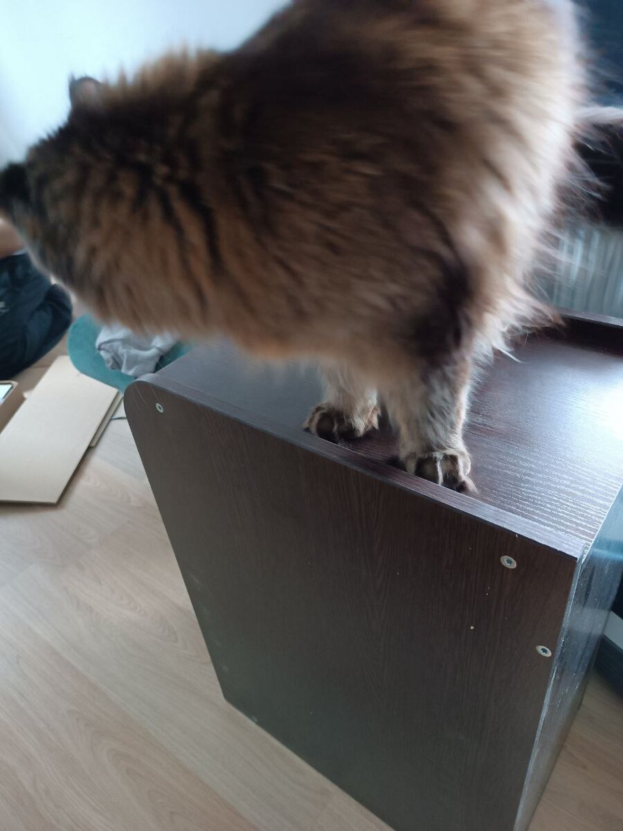 А что это у тебя такое интересное? Нюх-нюх!