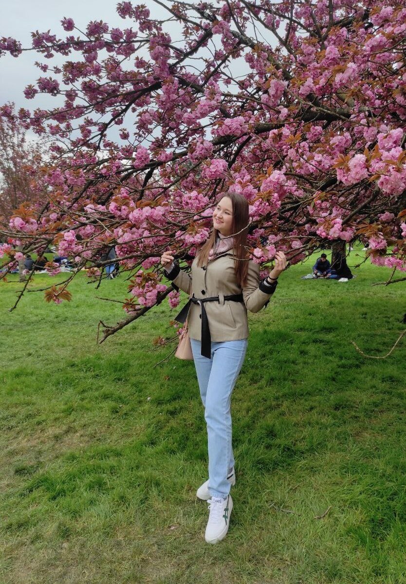Фото сегодня - в парке Sceaux цветёт сакура