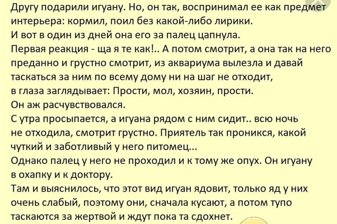 Рассказывай друг другу анекдоты