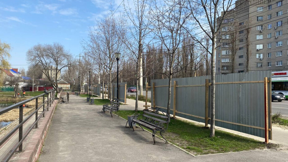    Автор фото: управление экологии Воронежа