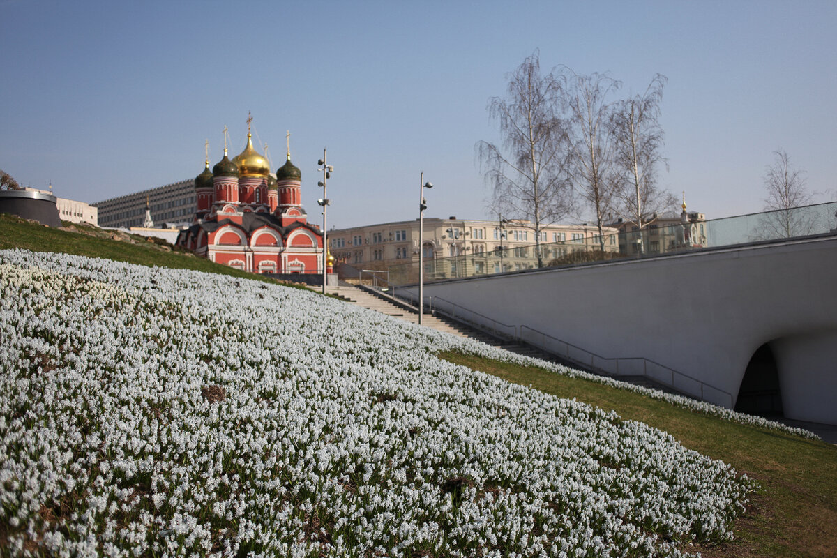 Река из пушкинии на склоне парка.