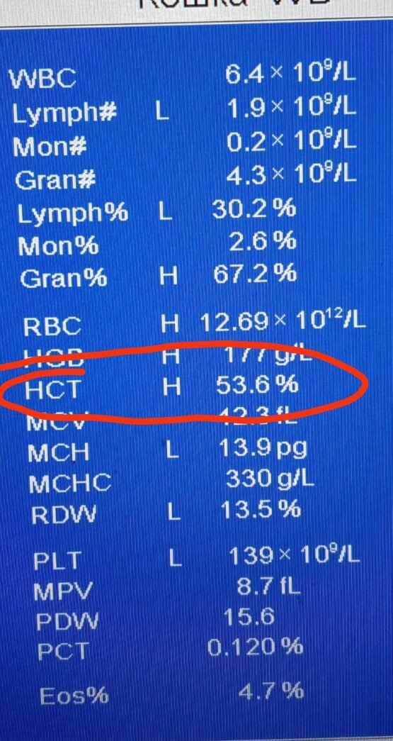 Вот так примерно это выглядит