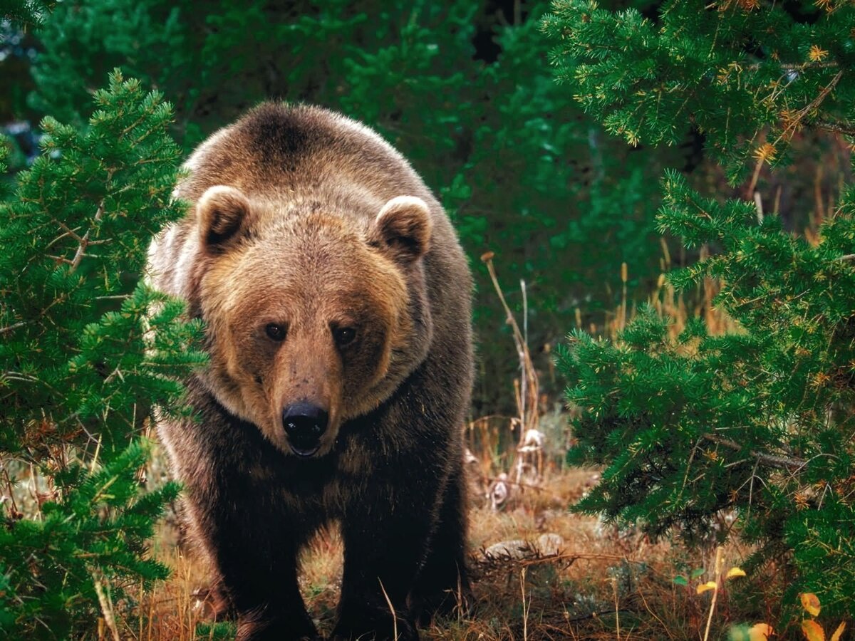 Фото из источников интернета 