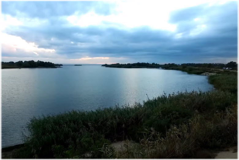 из интернета