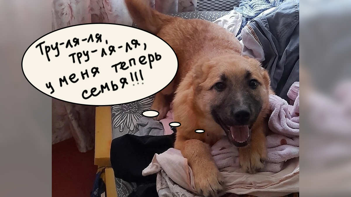 Марсик, привет из дома | Фото — все фото, здесь и далее, автора