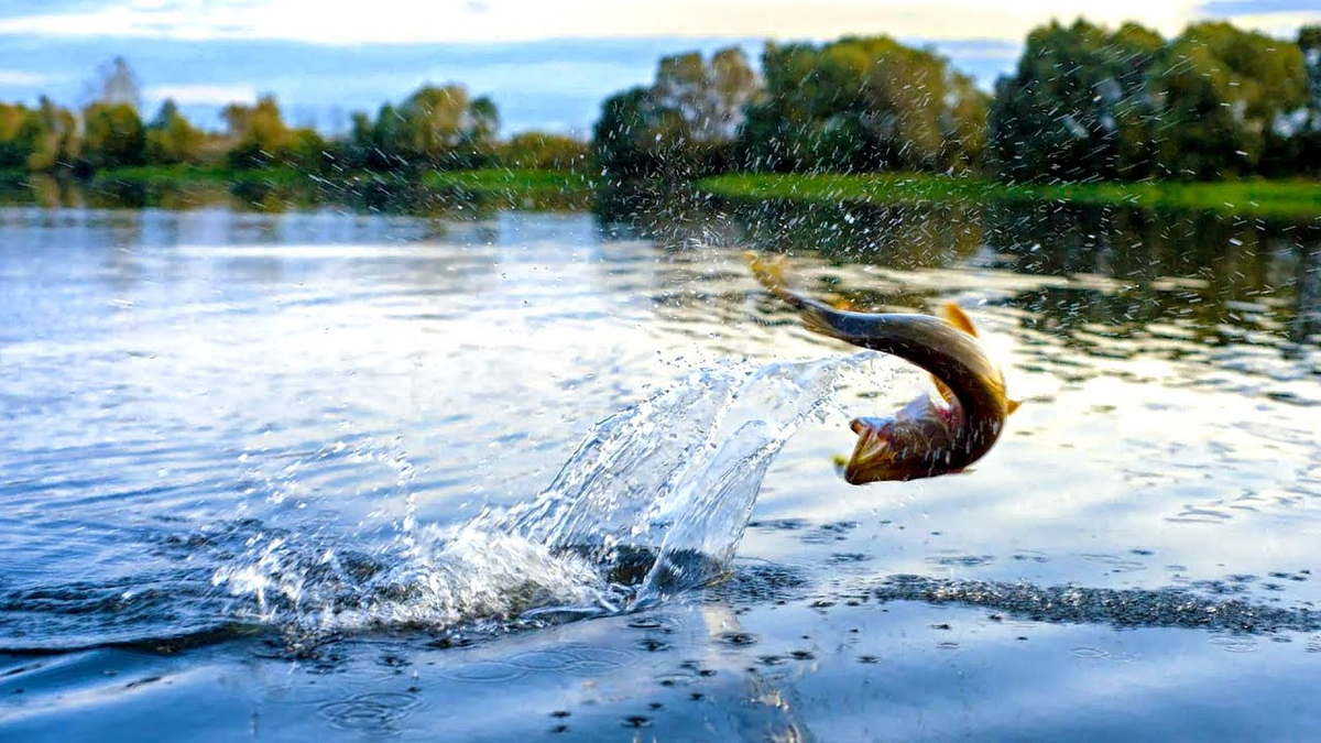 Плескание в воде