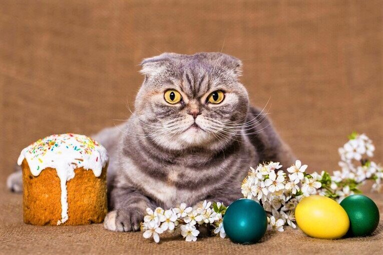 ���������� ������. ��������, ������� ���� �����. �������� ����: goodfon.ru