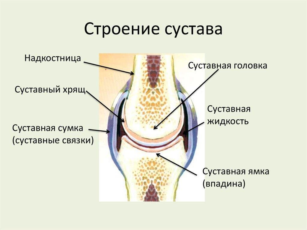 Ложный сустав у детей