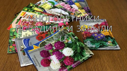 Многолетники. Обзор и названия цветов.