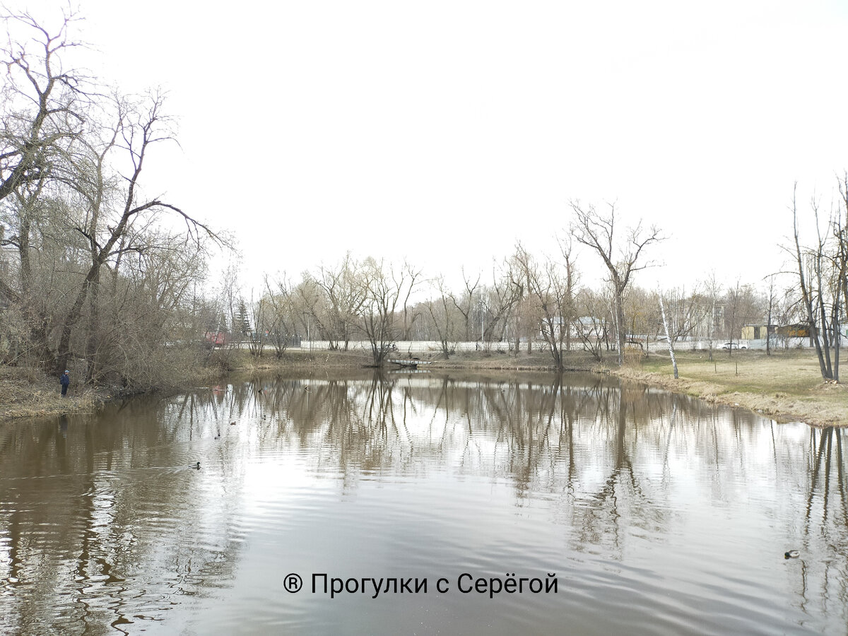 ПРОГУЛКА. НАХАБИНО | Прогулки с Серёгой | Дзен