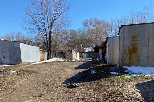    Власти Оренбурга попросят изменить закон о бездомных животных после гибели ребенка в результате нападения стаи собак