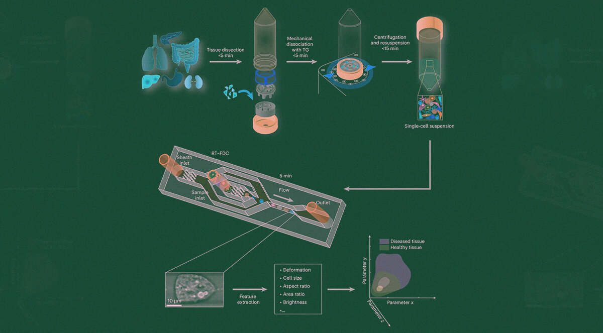   Jochen Guck et al. / Nature Biomedical Engineering, 2023; N + 1