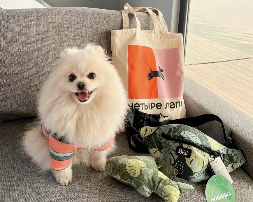 Собака – лучший друг человека, но нужно помнить, что мы должны быть ответсвенными 