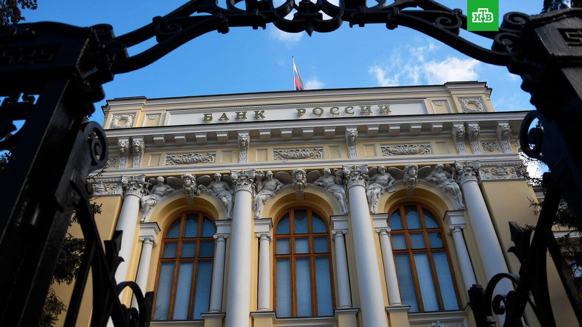    Фото: РИА Новости © 2023, Кирилл Каллиников