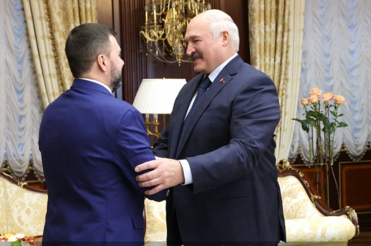    Пушилин обсудил с Лукашенко сотрудничество в сельском хозяйстве