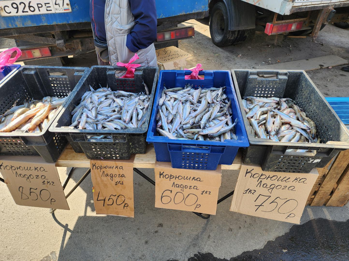 автор фото: Дмитрий Соколовский