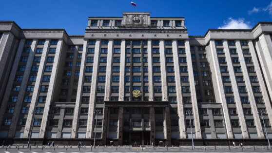    Базовый закон "О гражданстве РФ", пожизненное лишение свободы за госизмену: какие проекты поддержала Госдума Юлия Шелковенко