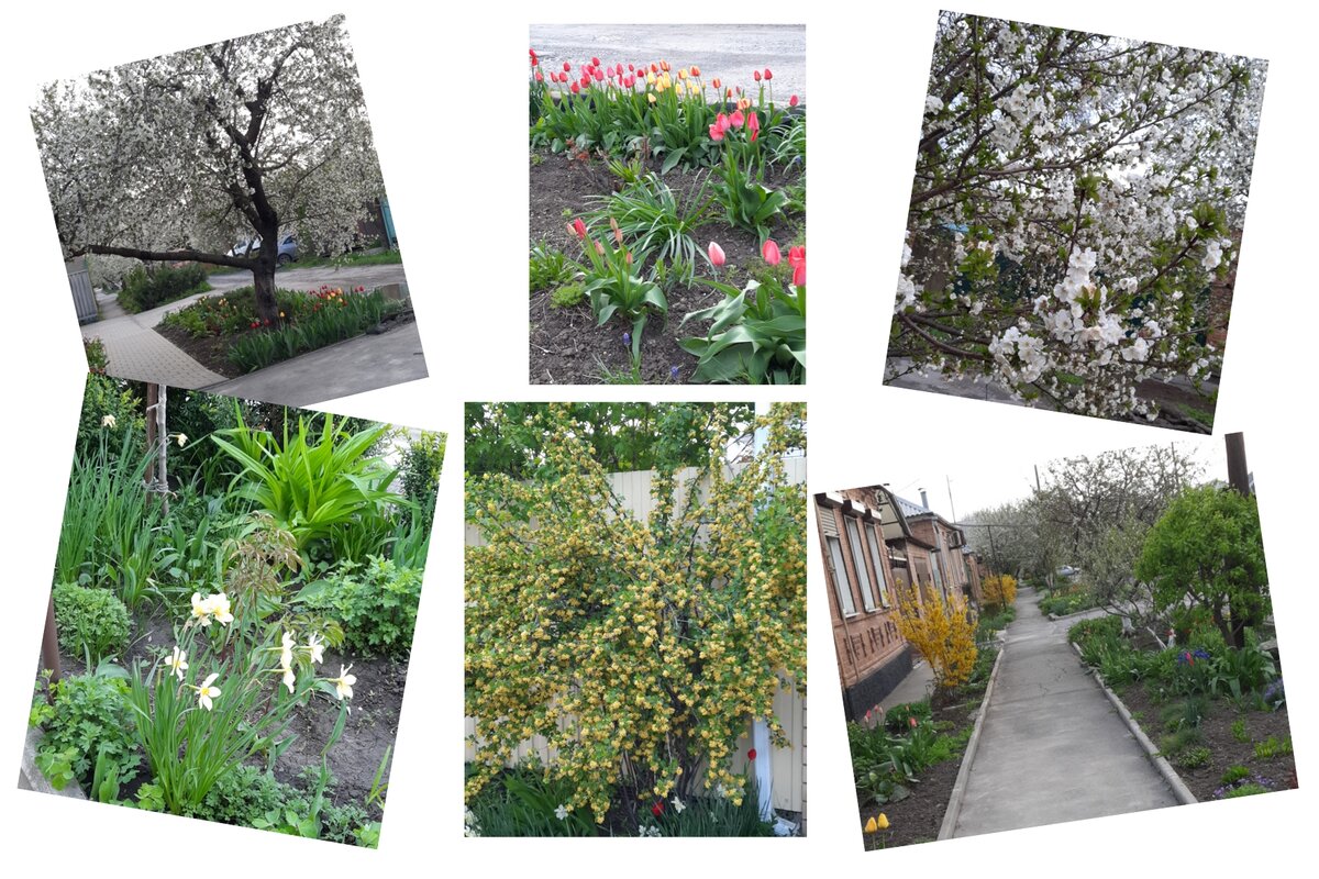 Таганрог весной.