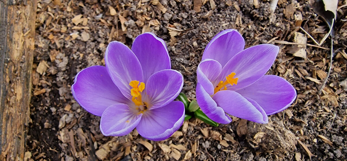 Типичный взгляд сверху.