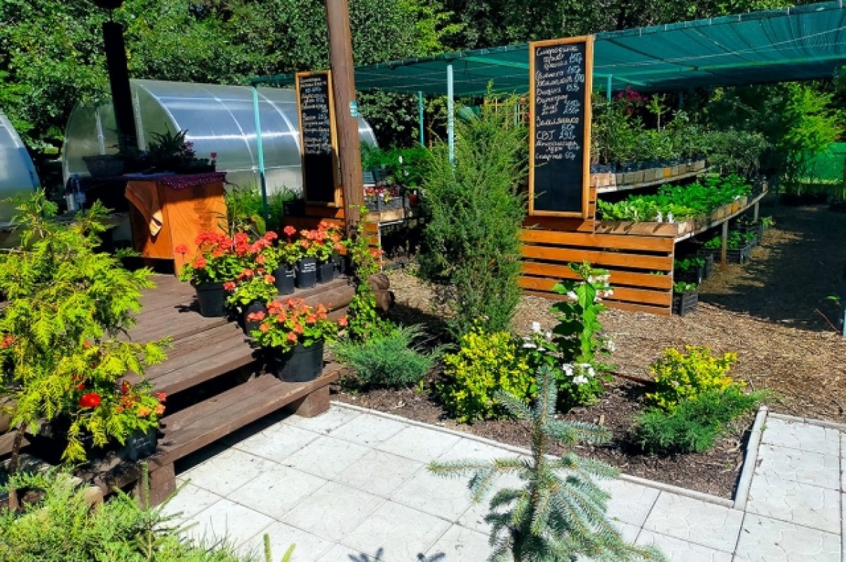    Ассортимент садового центра широкий.