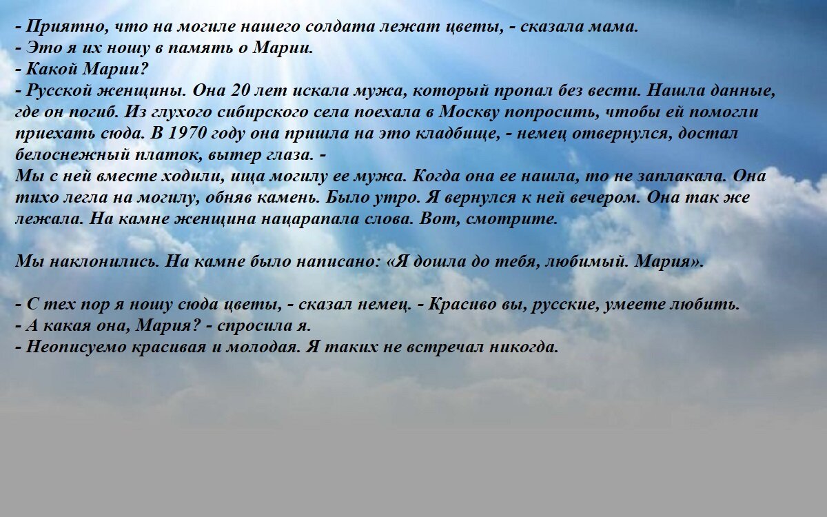 Красивые заснеженные ели, наклонившиеся от силы тяжести, стоят посреди холма. | Премиум Фото