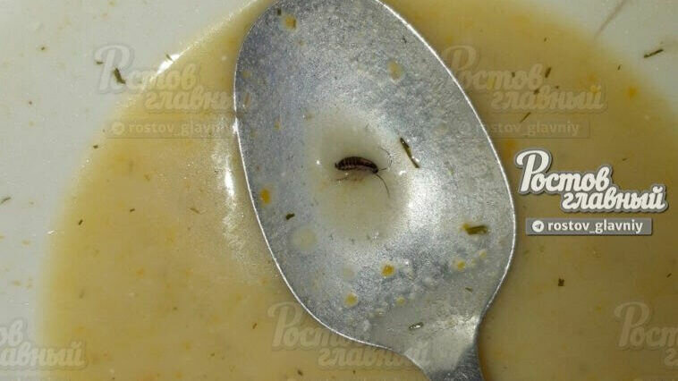     Жительница Аксая Ростовской области пожаловалась на таракана в супе и полную антисанитарию в местной больнице, пост об этом она написала в соцсетях.