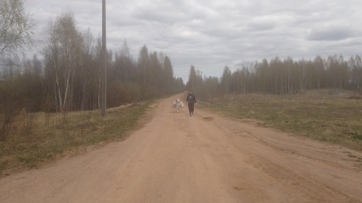 Идут вдвоем