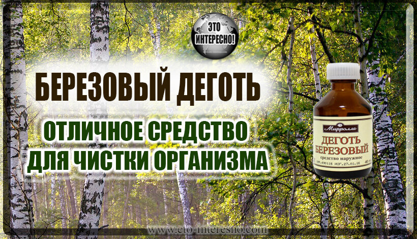 Можно пить березовый. Березовый деготь. очищение организма березовым дегтем. березовый деготь внутрь. деготь березовый применяется.
