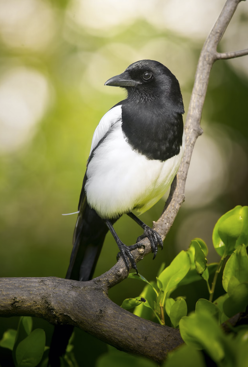 Фото unsplash.com