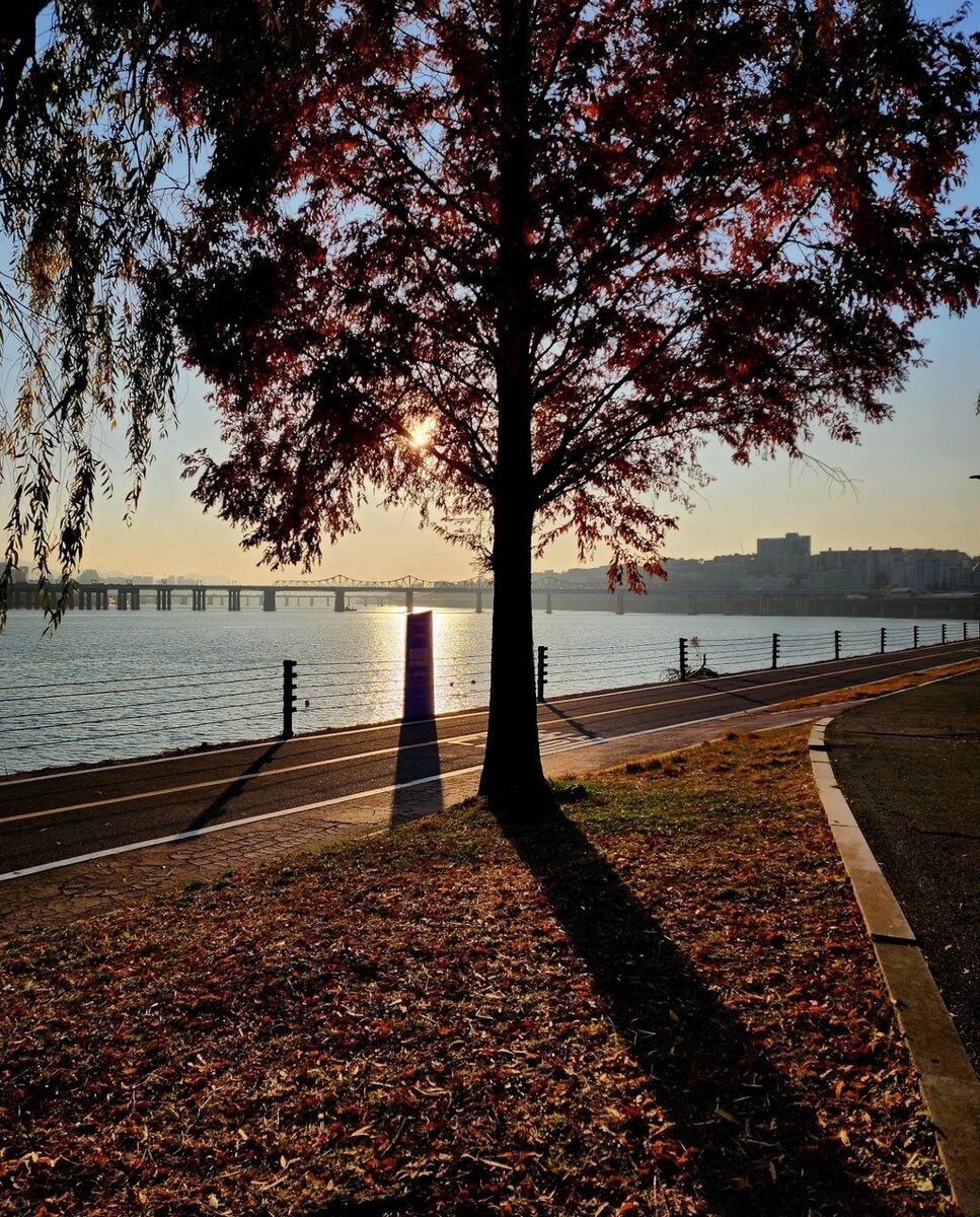 Сеул. Фото со страницы Ли Джун Ги в сети, которая не работает)))