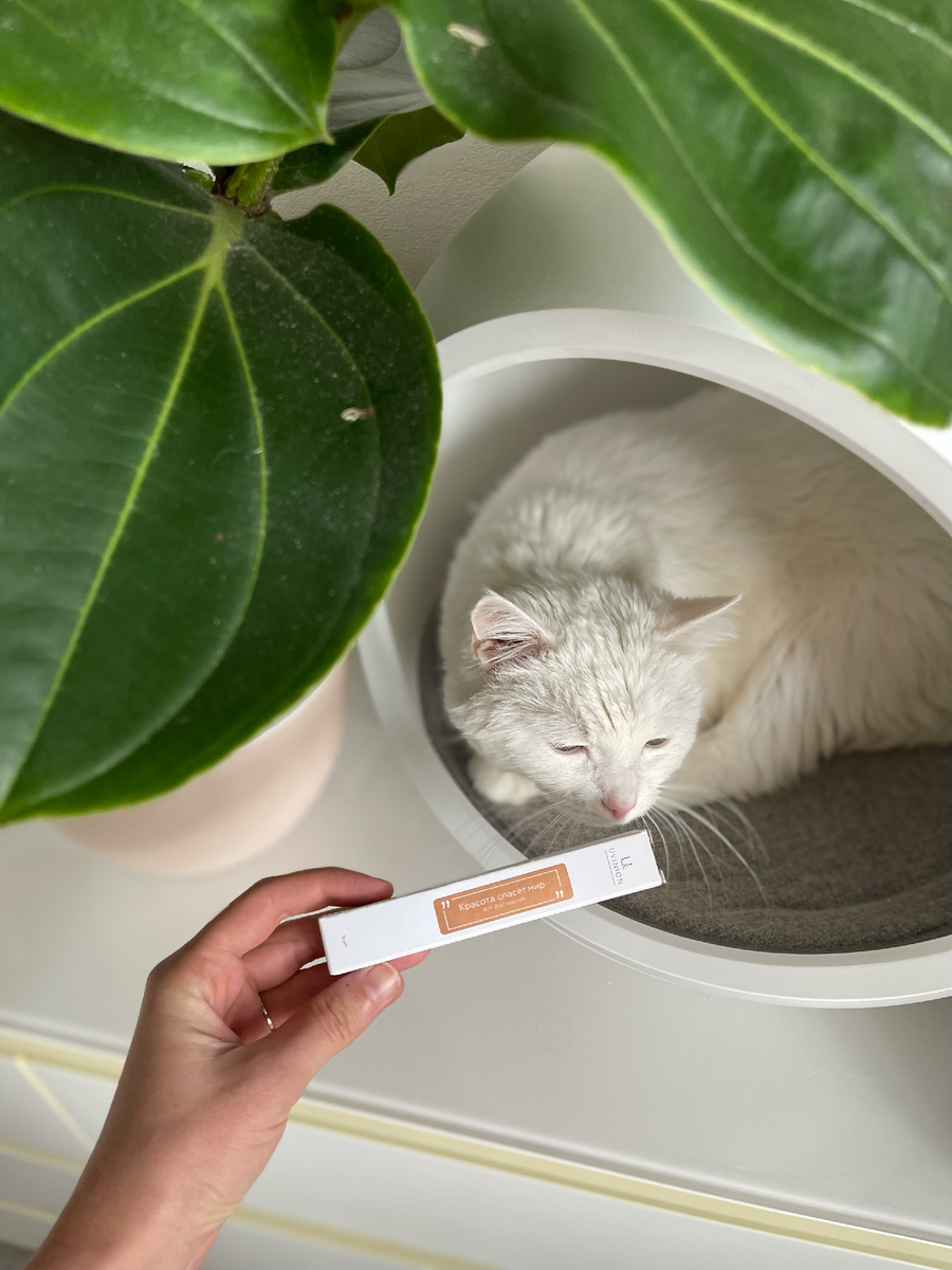 Понравилась даже Софику