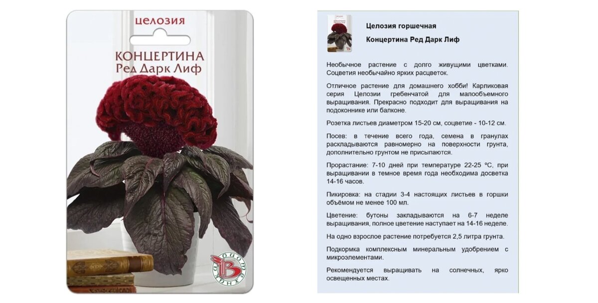 Перевод песни dark red