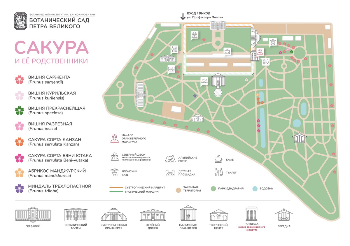 Ботанический сад санкт петербург схема