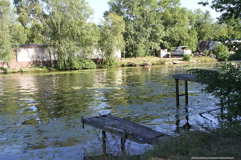 фото из открытых источников интернет