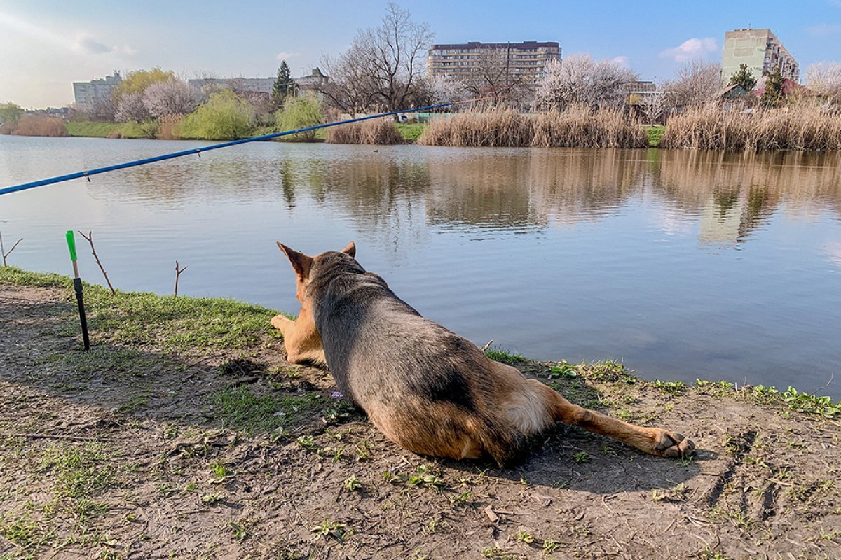    На Кубани продолжится потепление, местами пройдут дожди