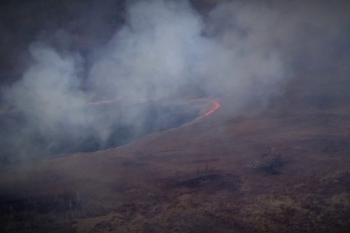    В Приамурье ввели режим ЧС из-за лесных пожаров