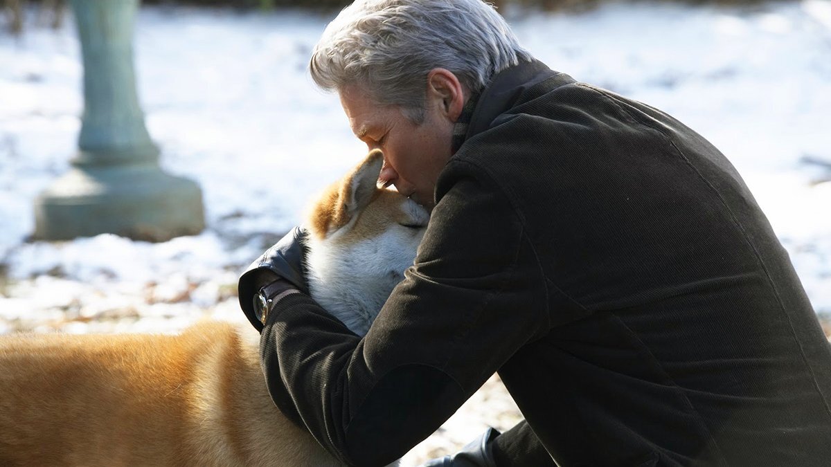    Почему собаки такие верные