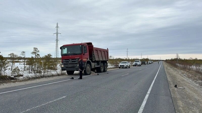    На трассе в Югре насмерть сбили водителя сломавшейся машины