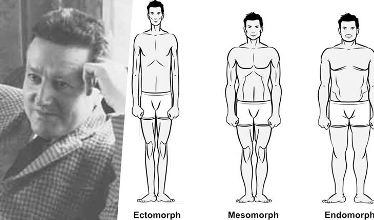 Типы телосложения у мужчин эктоморф