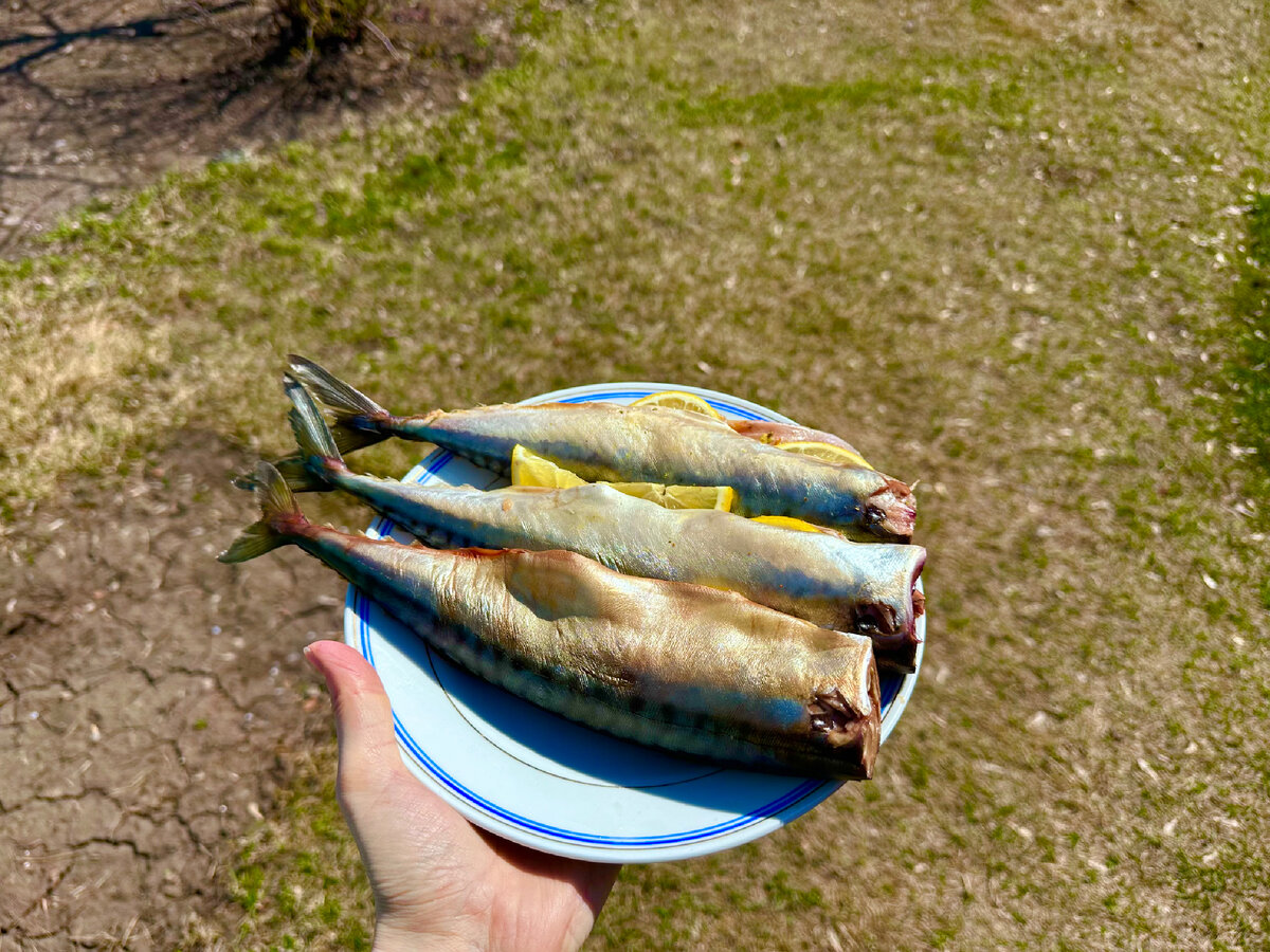 Замаринованная рыбка (фото автора)