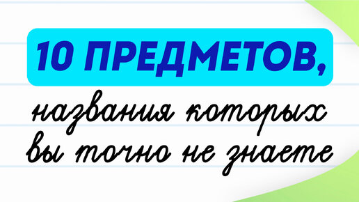 10 слов, которые вас удивят! Мало кто знает названия этих предметов | Русский язык