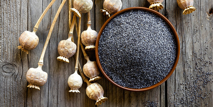 Мак  пищевой