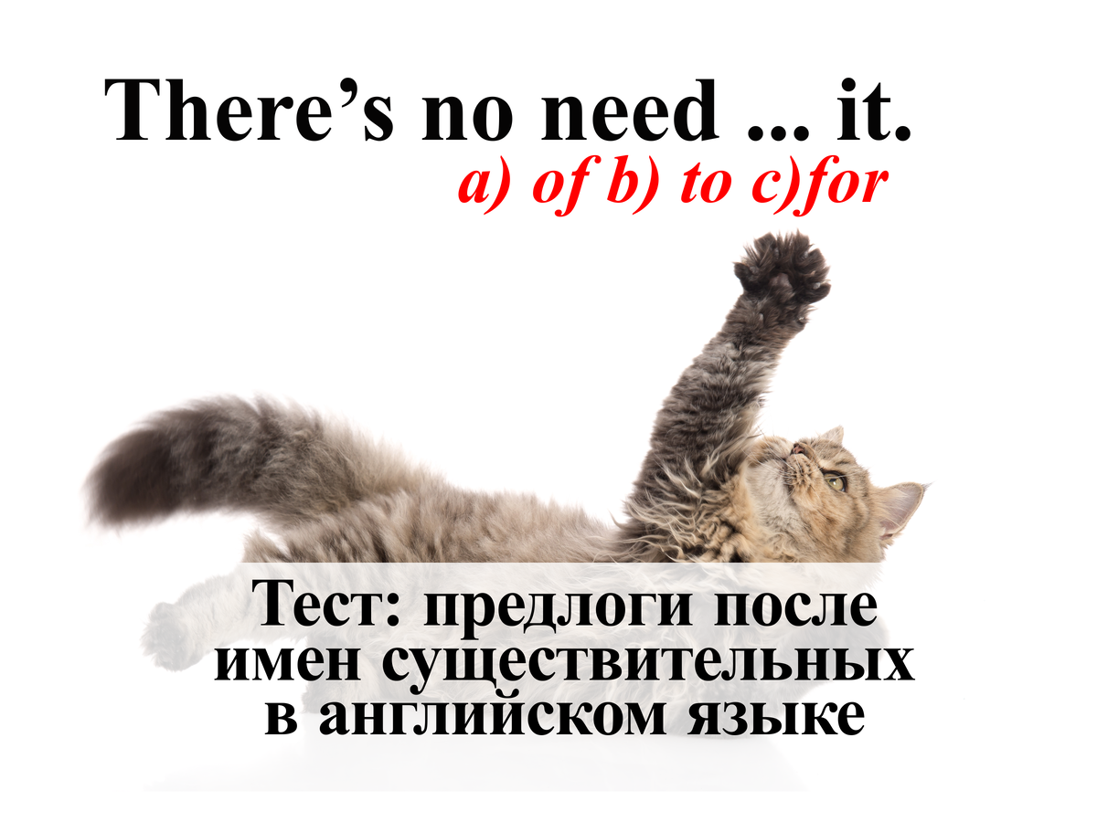 Тест: предлоги после имен существительных в английском языке | English Cats  | Дзен