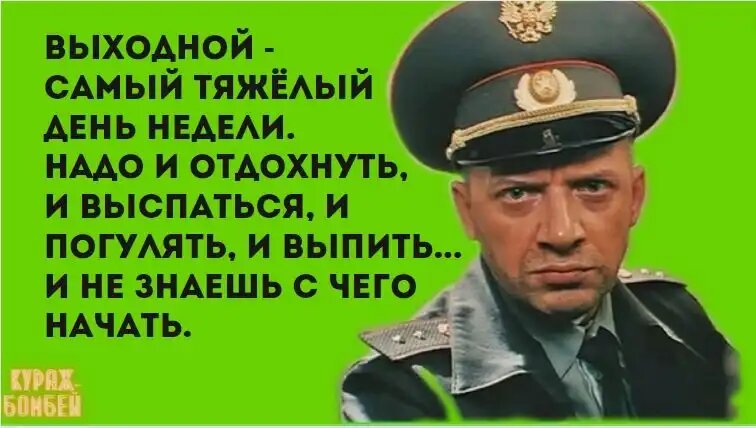 Юмор в картинках: рёв Ниагарского водопада, название книги и взрослая жизнь