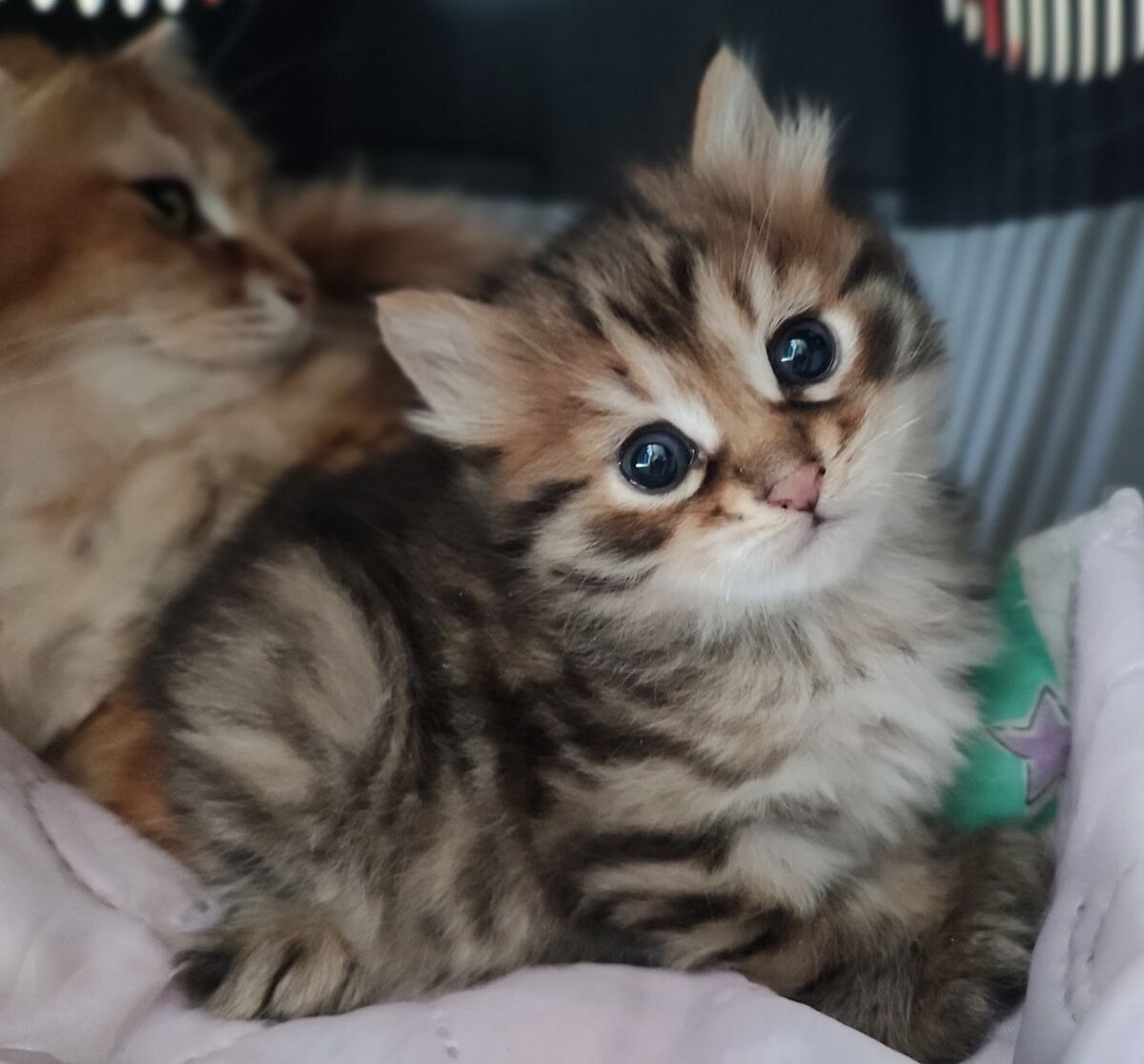 фото из личного архива