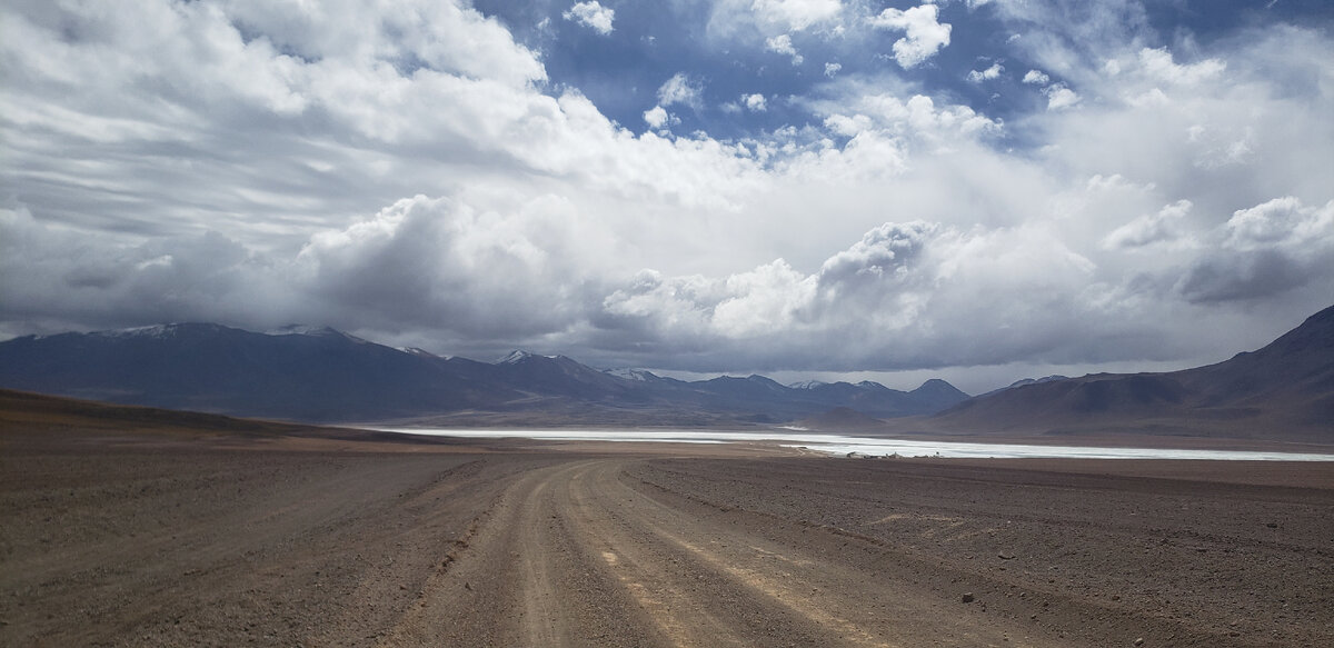 Atacama Yellow f10