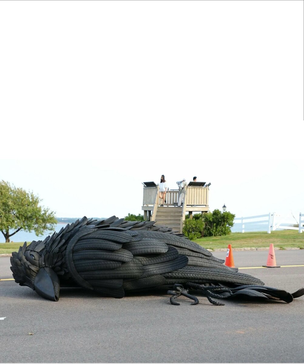 Свободный доступ. Арт объект...... Прощай ворон 🥹🫶....... ты запрещён а нашей стране..... 😐
