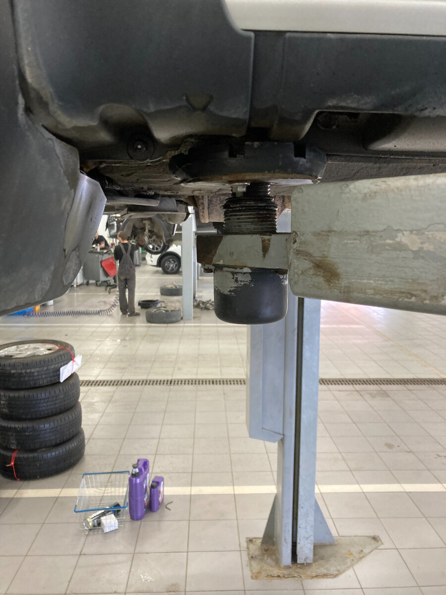 Фото автора